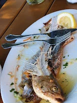 Fisch