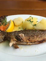 Saibling Mit Salzkartoffeln